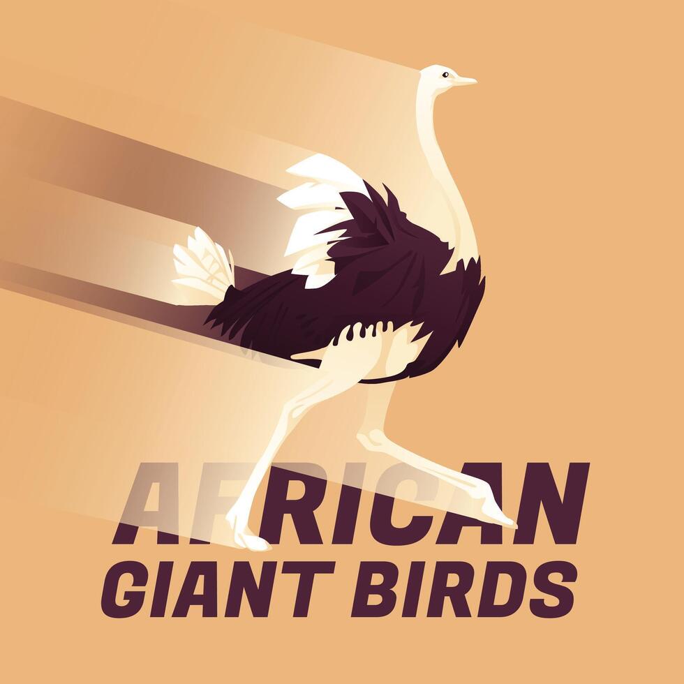 An African ostrich runs. Gradient of movement speed. Safari, tourism and adventure tour. The wild nature. vector