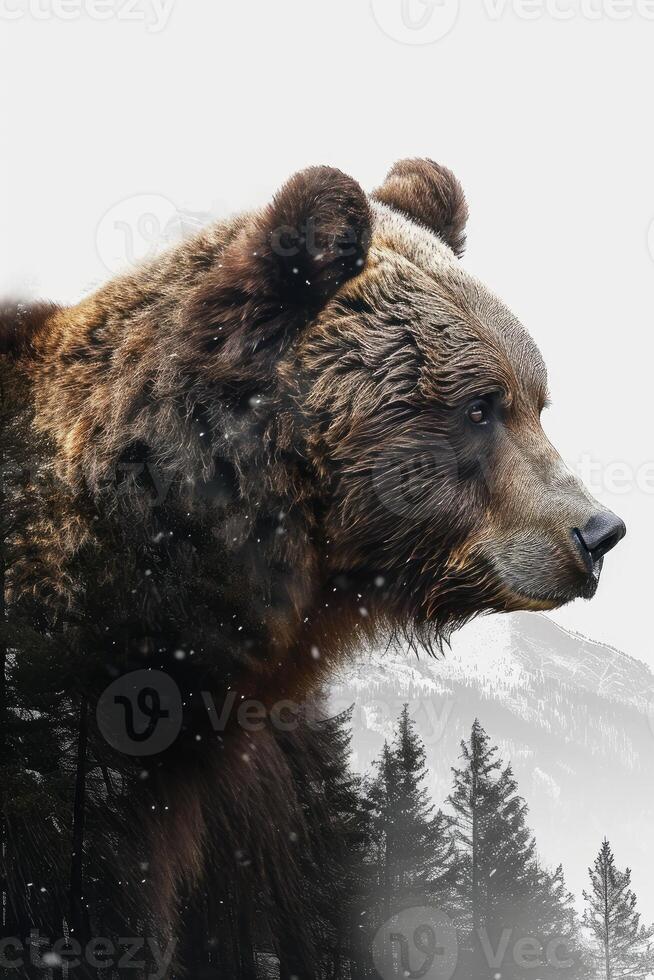 AI generated Graphic collage of bear head and forest landscape photo