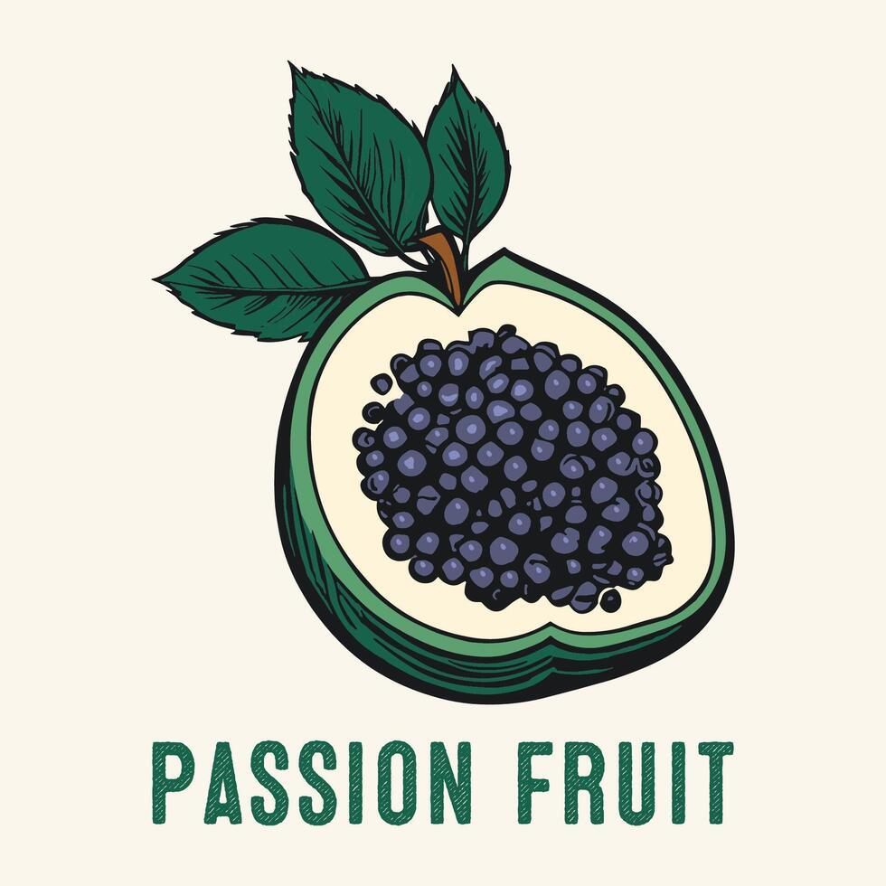 grabado pasión Fruta Clásico mano dibujado vector