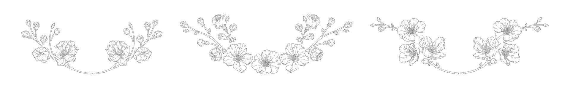Set of wreaths with blossom apricot flowers, buds and branches vector
