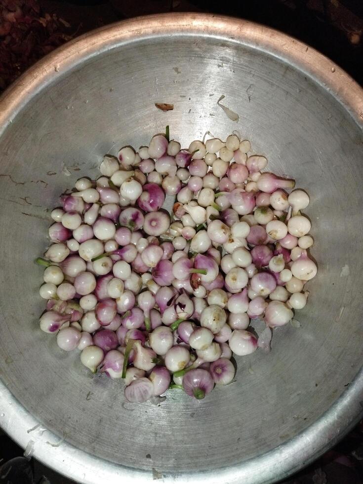 a bowl filled with onions and green onions photo