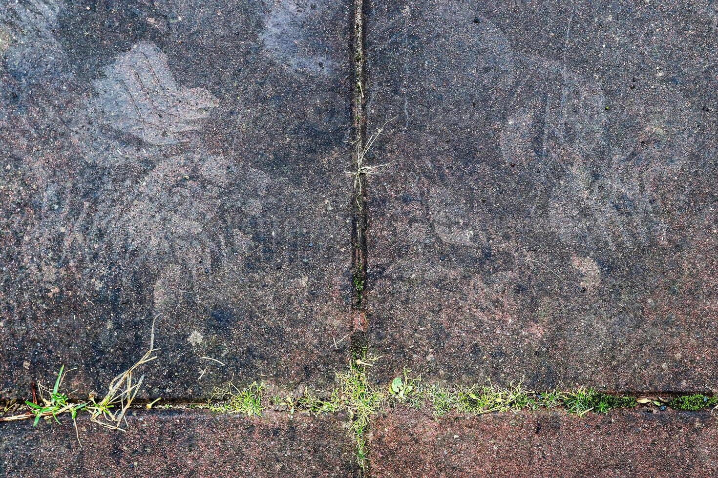 Concrete floor with some marks on it. photo