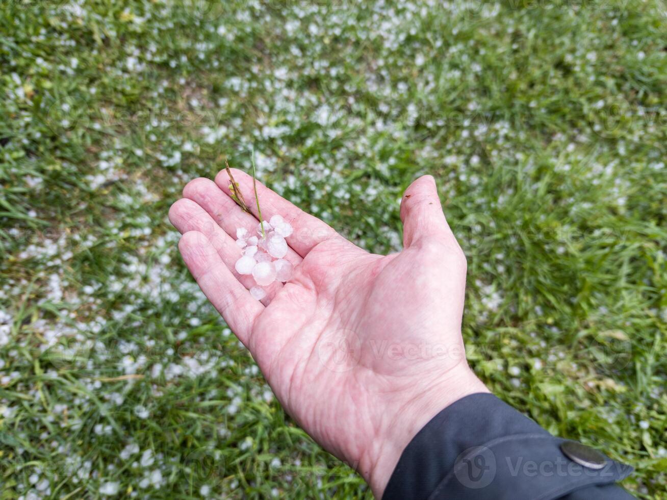 right caucasian hand holding small hail grains on blurry green grass background photo