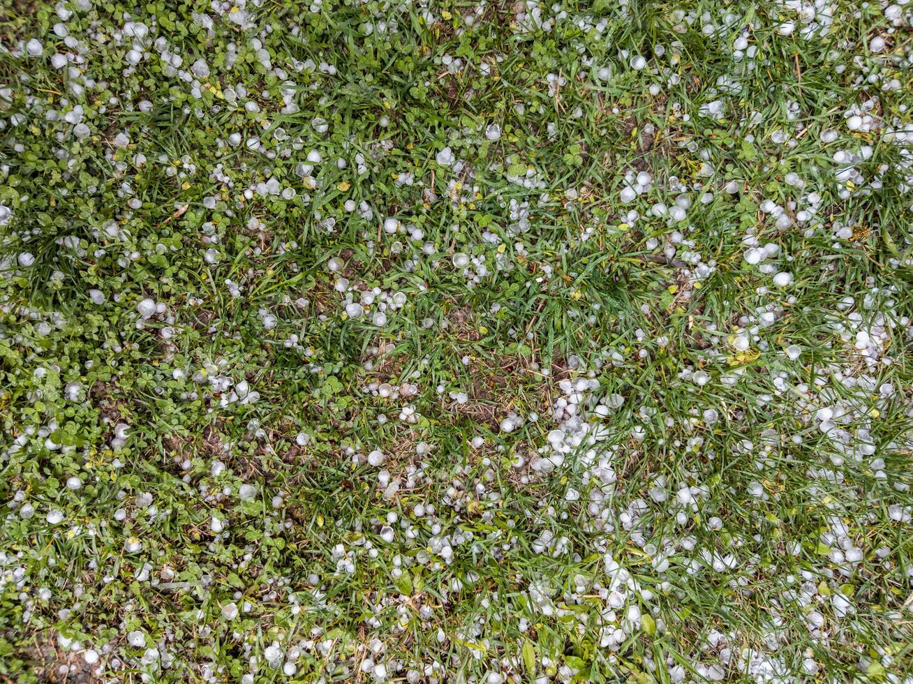White ice hail on the green grass after summer storm photo