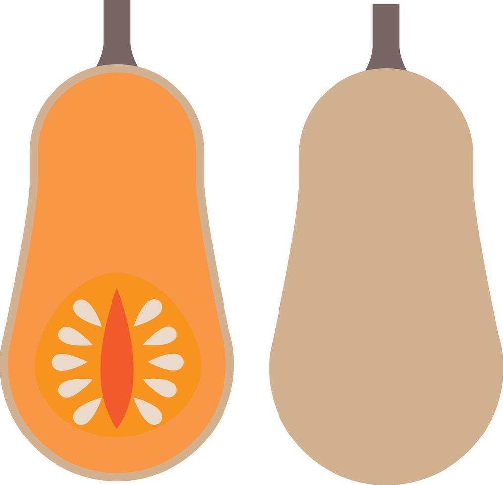 Vector simple pumpkin. Traditional autumn vegetables vector illustration. Healthy food. Flat illustration.