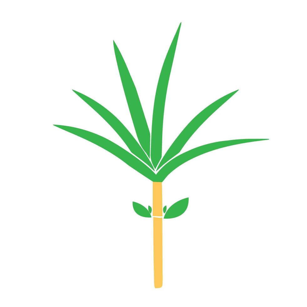 Sugar cane flat icons set vector illustration. Sugar cane vector