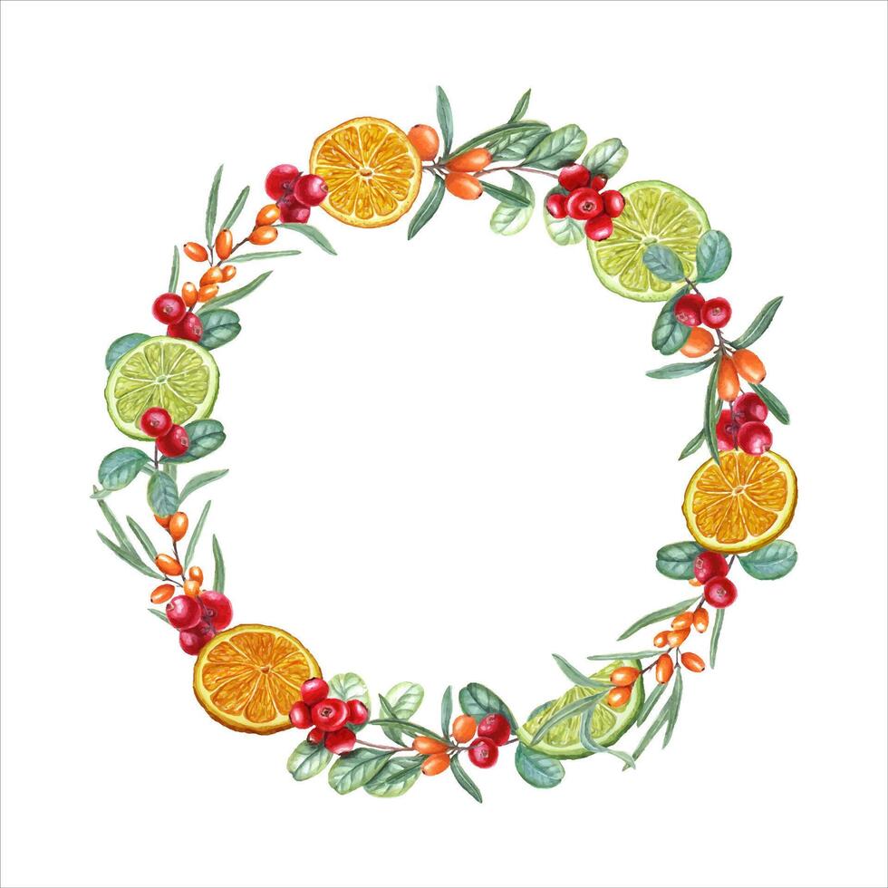 Wreath with ripe berries, citrus and herbs. Mint leaves, lime, orange, sea buckthorn and cowberries. vector