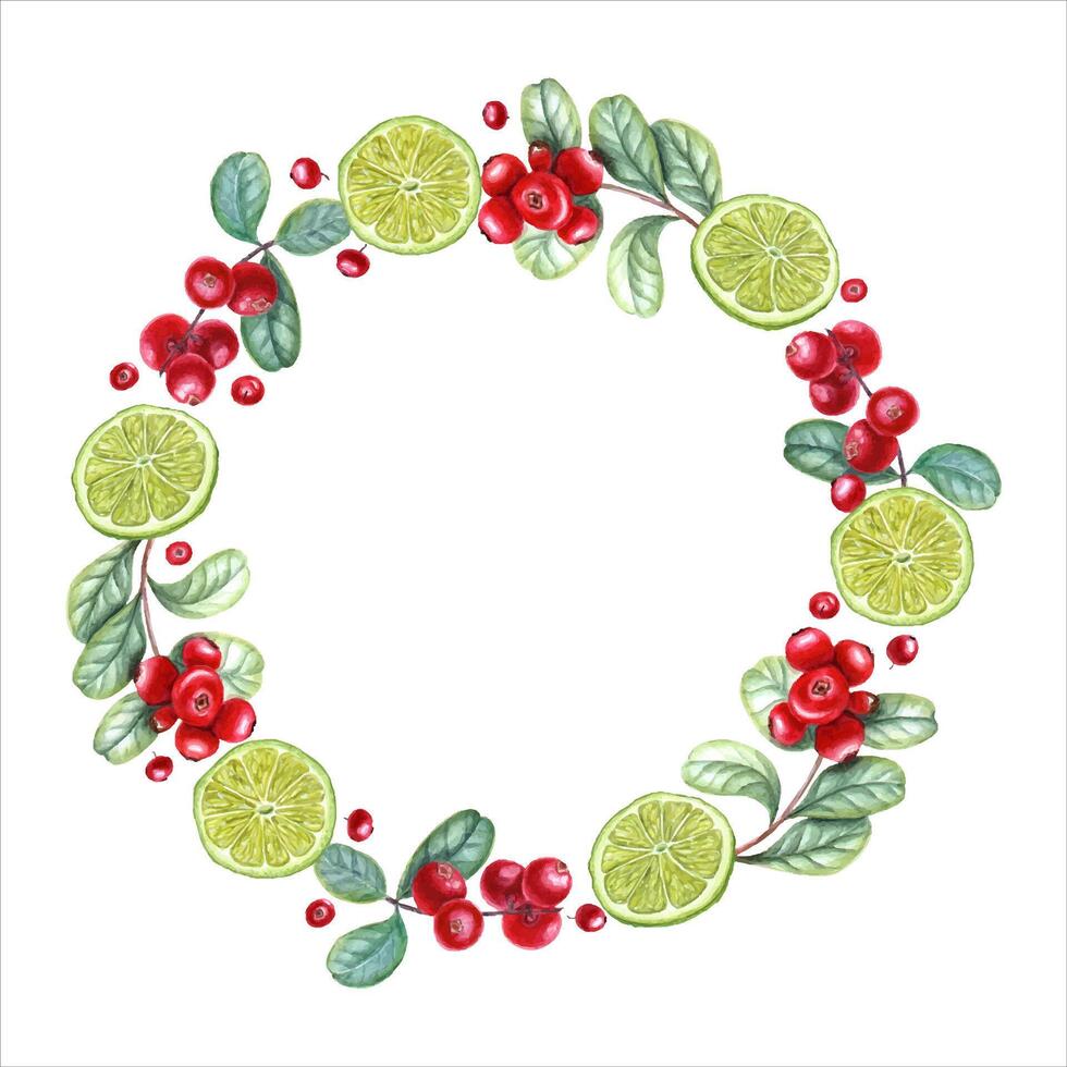 Wreath with lime slices, cowberries. Citrus, red berries, green leaves. Tropical fruit, forest berry vector