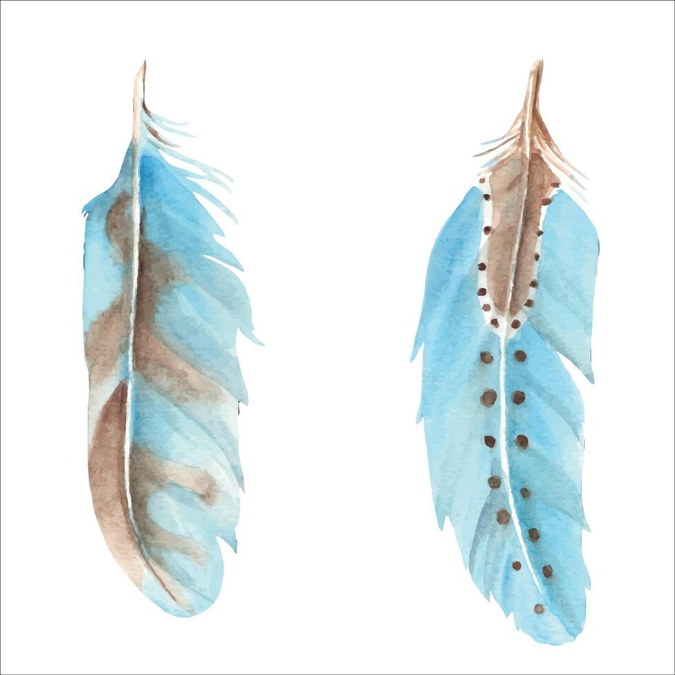 Blue feathers, watercolor hand drawn illustration. For decoration, cards and textile prints. vector