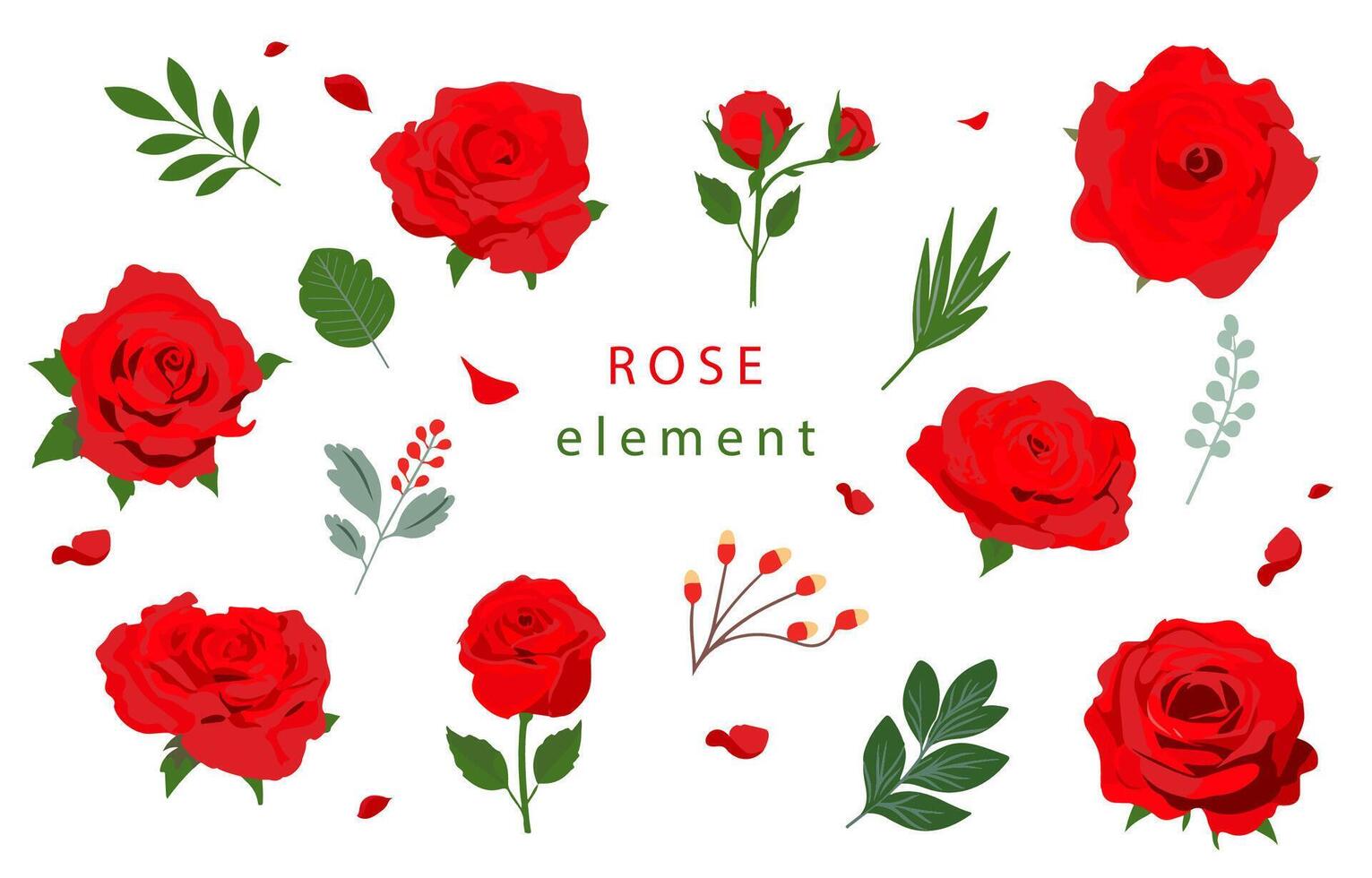 Red rose object with leaf illustration vector for postcard invitation