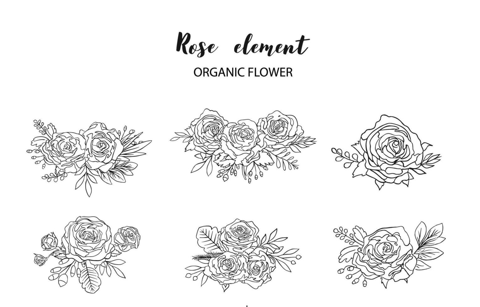 outline rose object element set with leaf.illustration vector for postcard,sticker