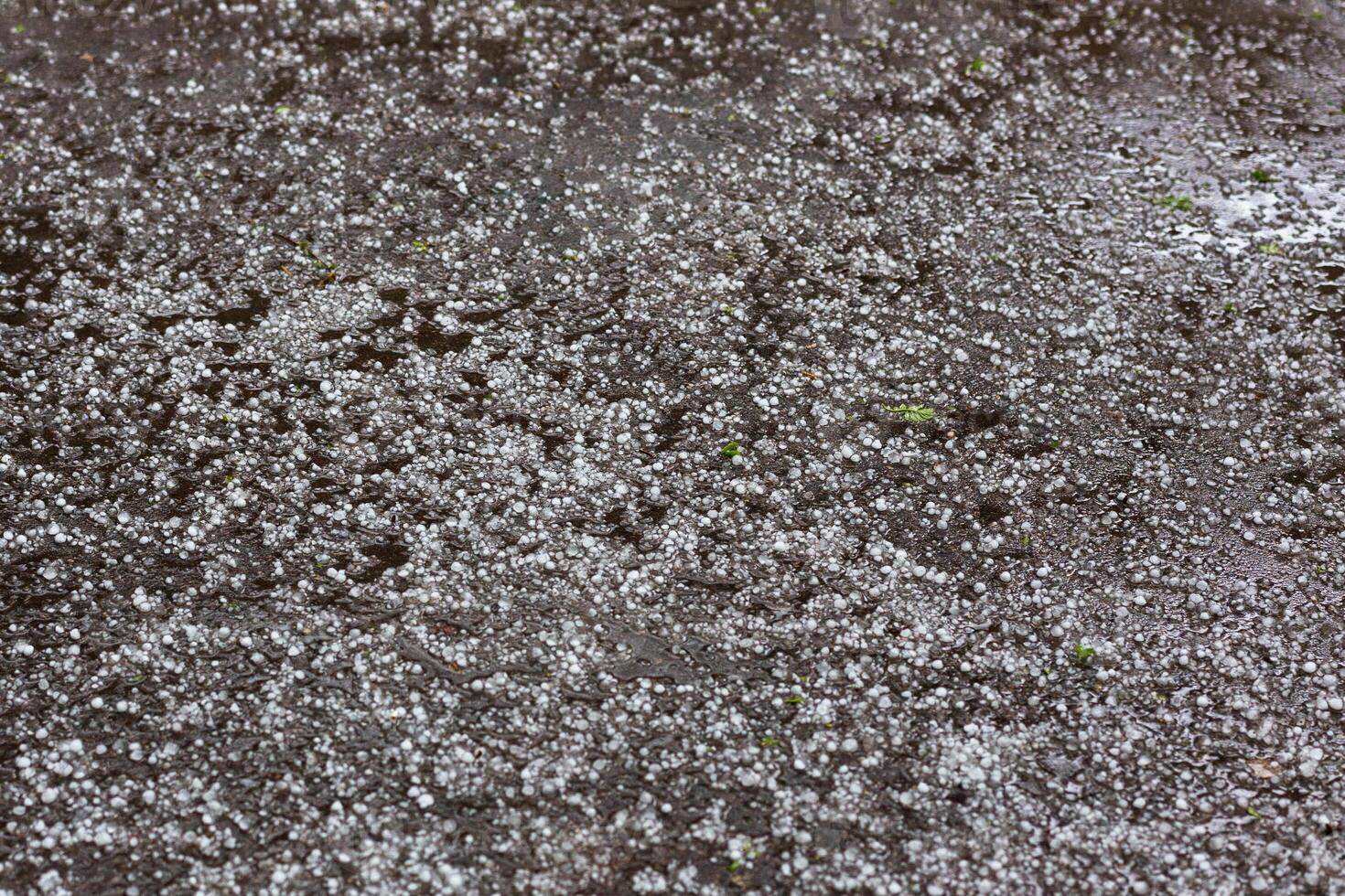 White ice hail on the asphalt road surface photo