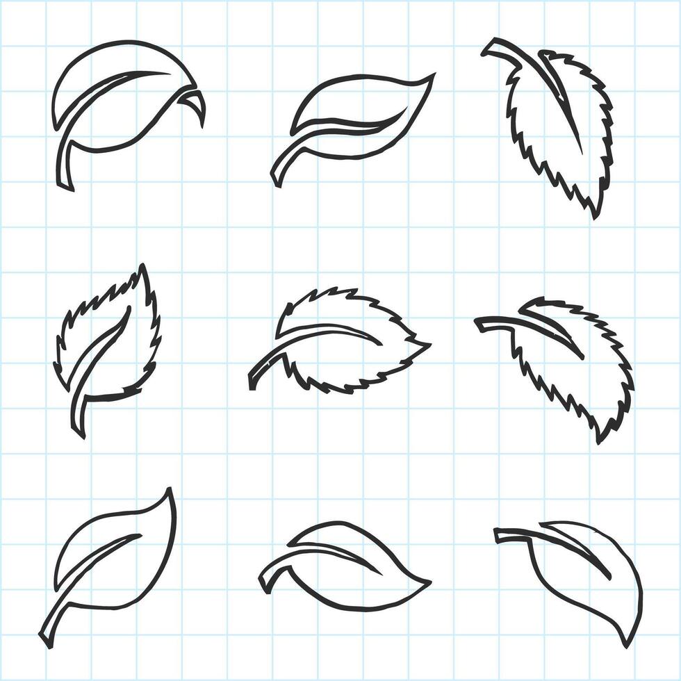 Artistic Collection of hand Drawn Leaves Set. Isolated and Real Pen Sketch, Vector Illustration