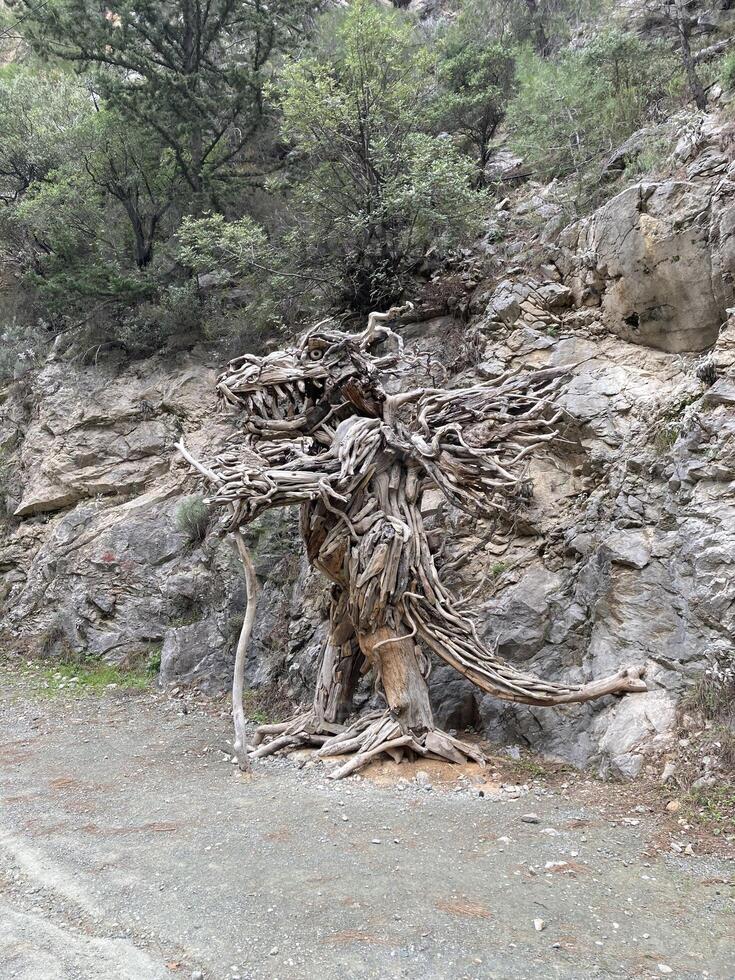 Unusual sculpture of branches and roots of a tree on a ladder in the mountains goynuk canyon photo