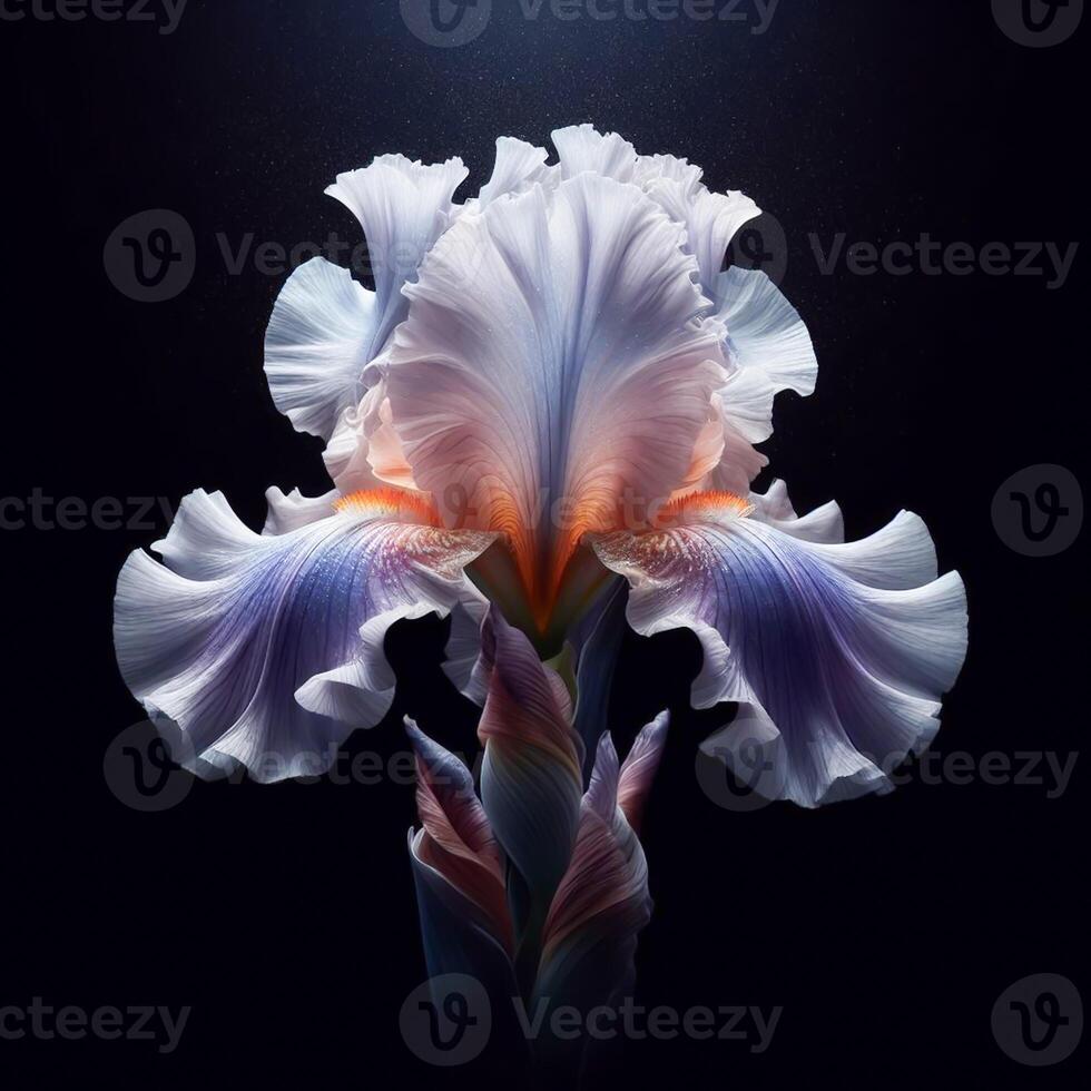 AI generated Blue iris isolated on black background. Flowers and plants in spring. photo