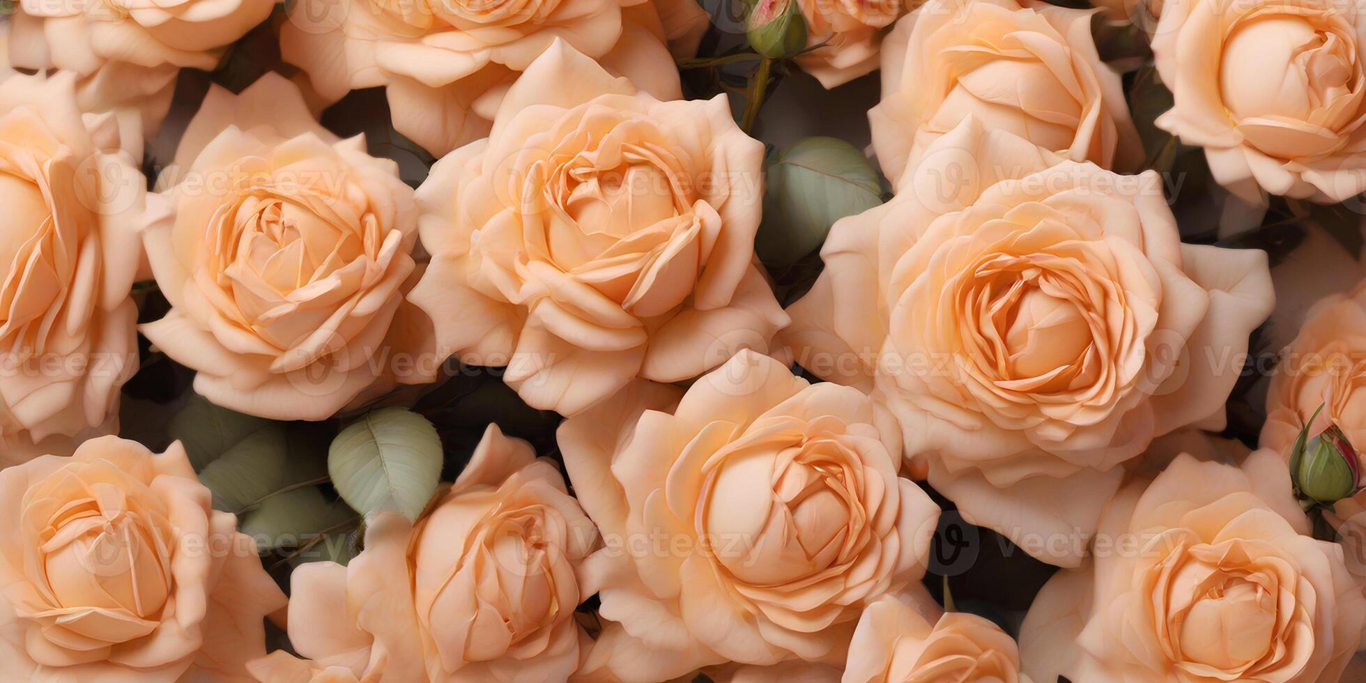 AI generated A close up of peach and white roses, top view. Floral background for holiday banners, posters, cards photo