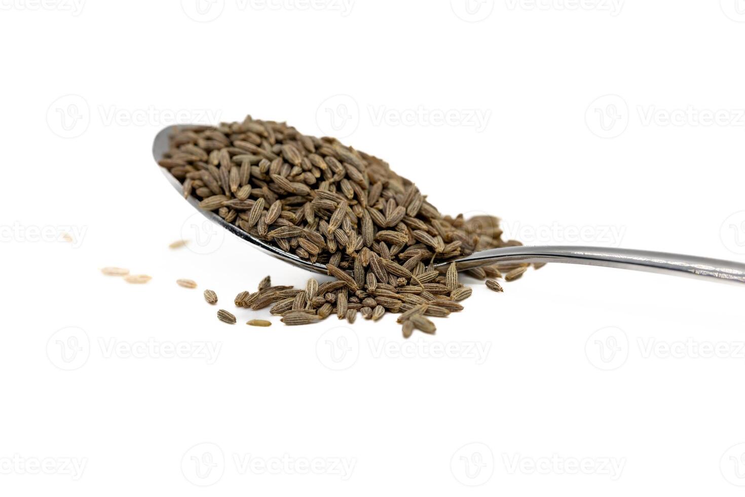spoon filled with grains of Cumin seeds on top of it photo