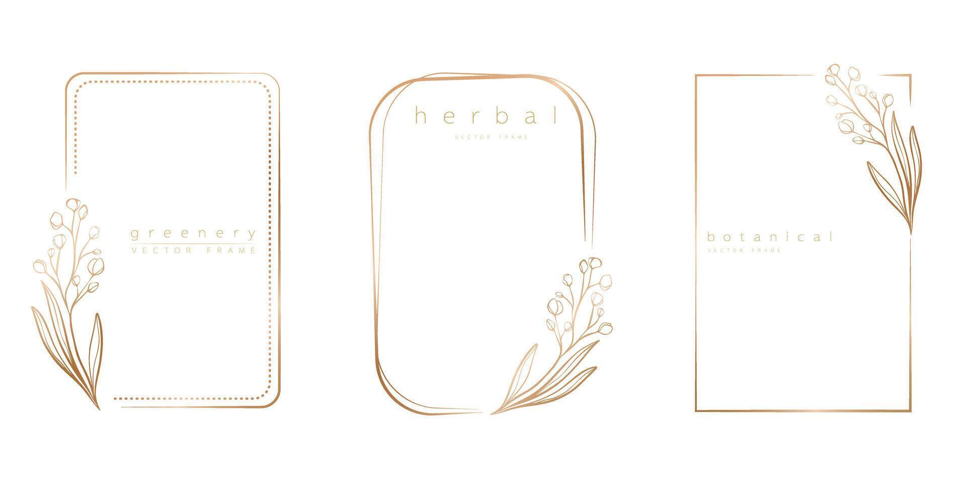 Set of frame templates in minimal linear style with hand drawn branches and leaves. Elegant frame. Botanical vector illustration for labels, corporate identity, wedding invitation, logo, save the date