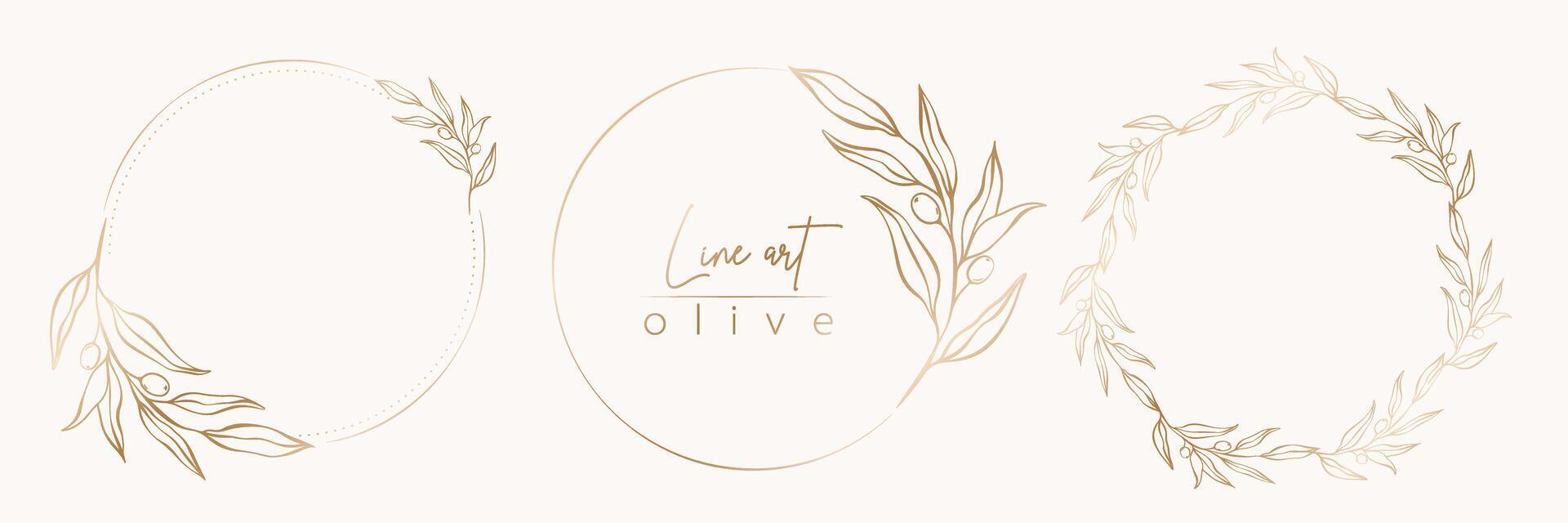 Botanical line illustration set of olive leaves, branch wreath for
