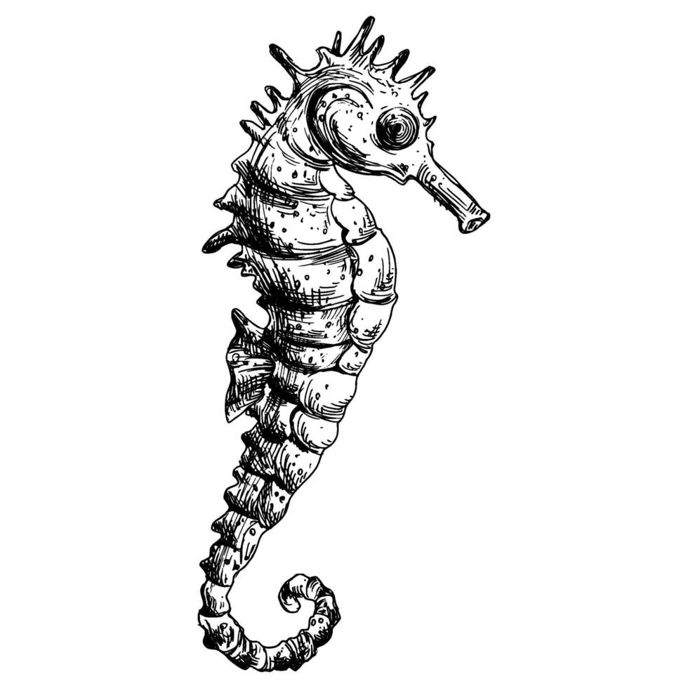 Underwater world clipart with seahorse with fin. Graphic illustration hand drawn in black ink. isolated object EPS vector. vector