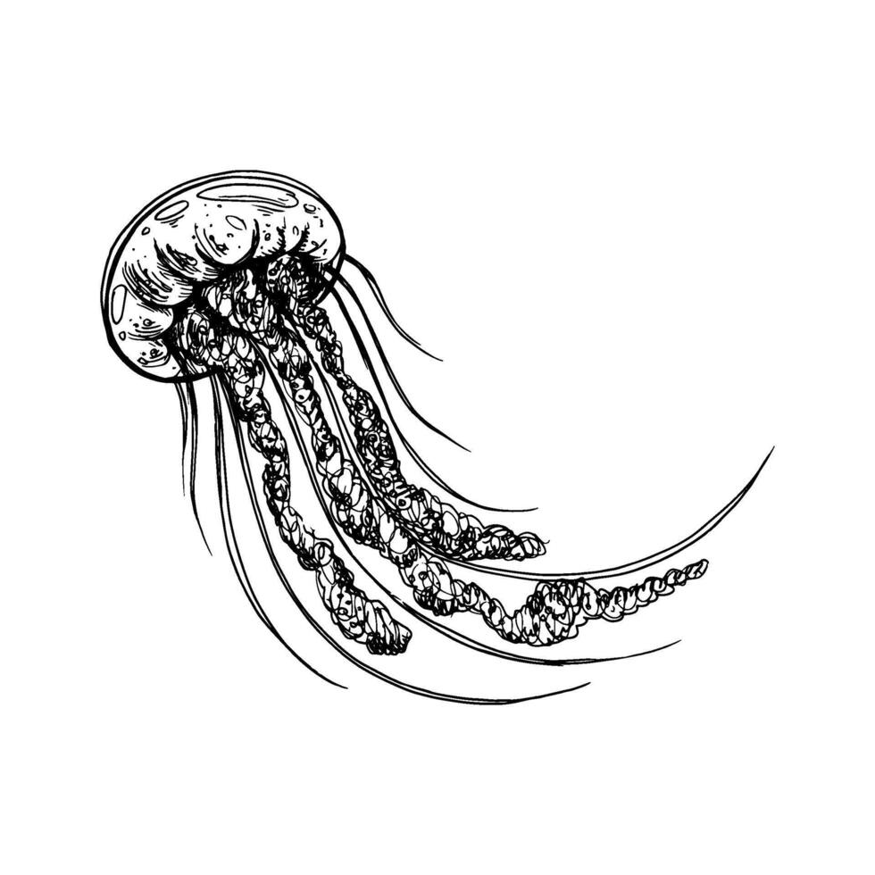 submarino mundo clipart con Medusa. gráfico ilustración mano dibujado en negro tinta. aislado objeto eps vector. vector