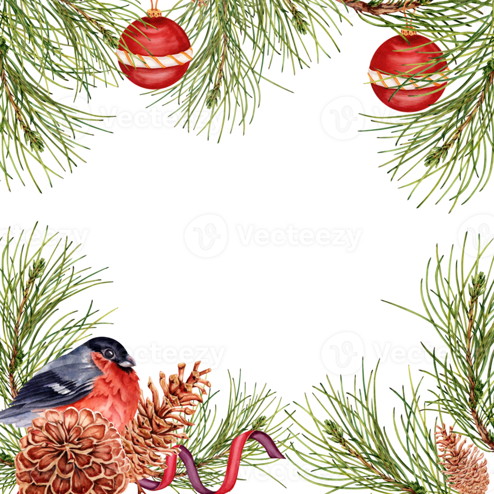 brillante Navidad composición con pino árbol sucursales, rojo adornos, piñonero y piñas. cuadrado marco diseño Listo para texto. acuarela ilustración aislado en transparente antecedentes. tarjeta borde. png
