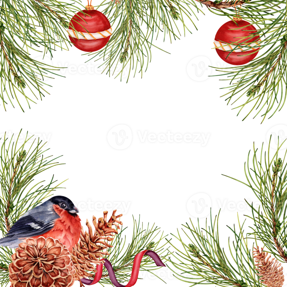 Bright Christmas composition with pine tree branches, red baubles, bullfinch and pinecones. Square frame design ready for text. Watercolor illustration isolated on transparent background. Card border. png