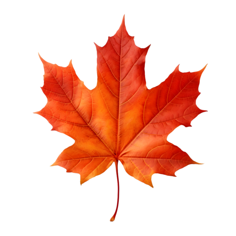AI generated Maple Leaf Autumn on transparent background PNG image
