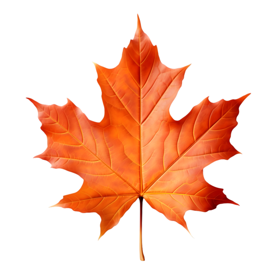 AI generated Maple Leaf Autumn on transparent background PNG image