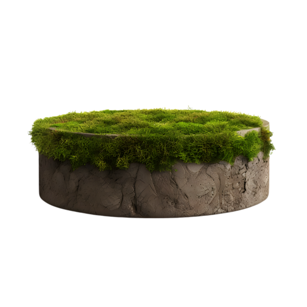 AI generated Circle Ground Soil Ground on transparent background PNG image