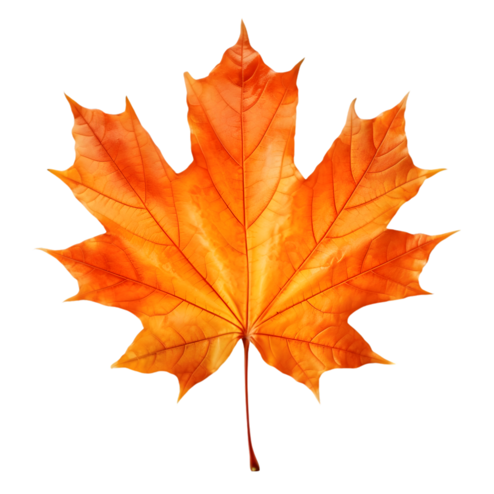 AI generated Maple Leaf Autumn on transparent background PNG image