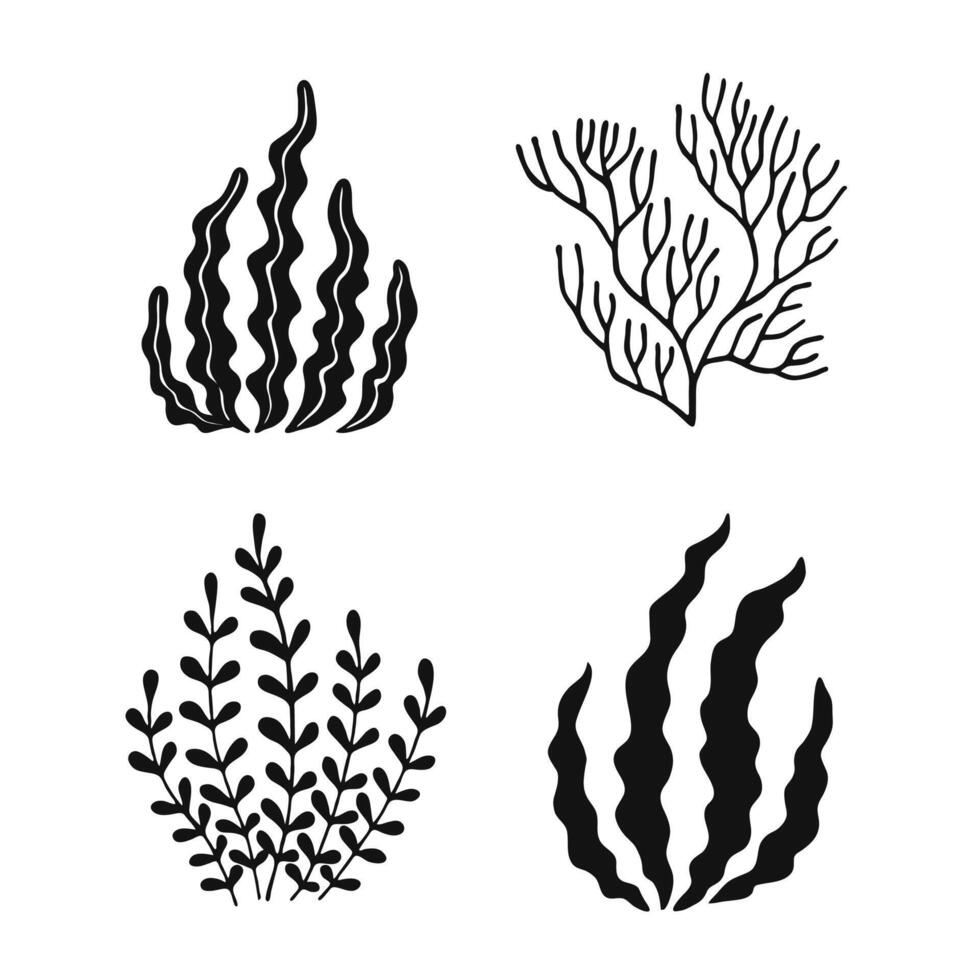 Set of seaweed. Marine plants are isolated. Hand drawn illustration converted to vector. vector