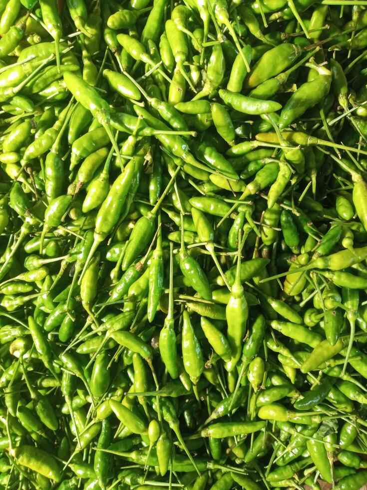 spicy green cayenne papper photo