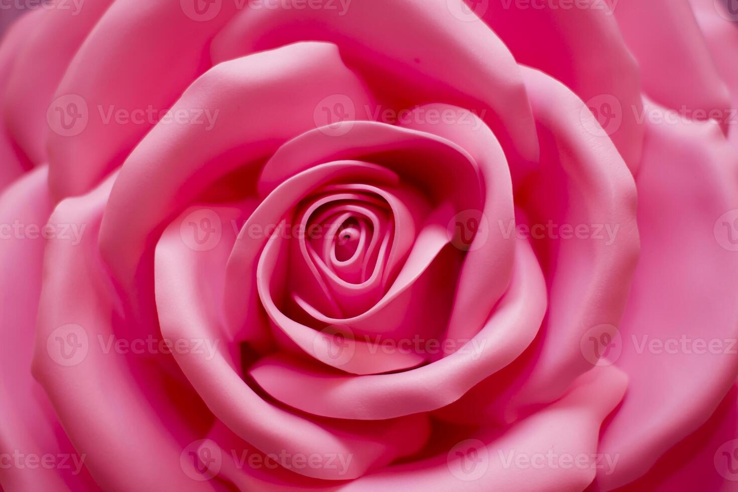 Pink artificial rose large. Rose flower background photo