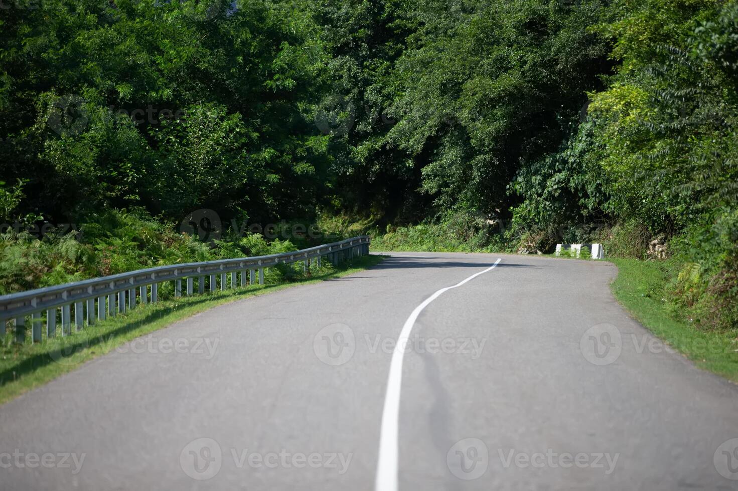 Paved road with a dividing strip along the green bushes. photo