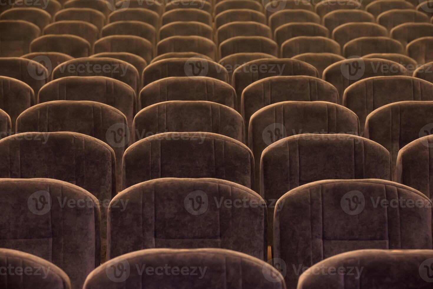 Brown soft comfortable chairs are empty in the auditorium or concert hall. photo