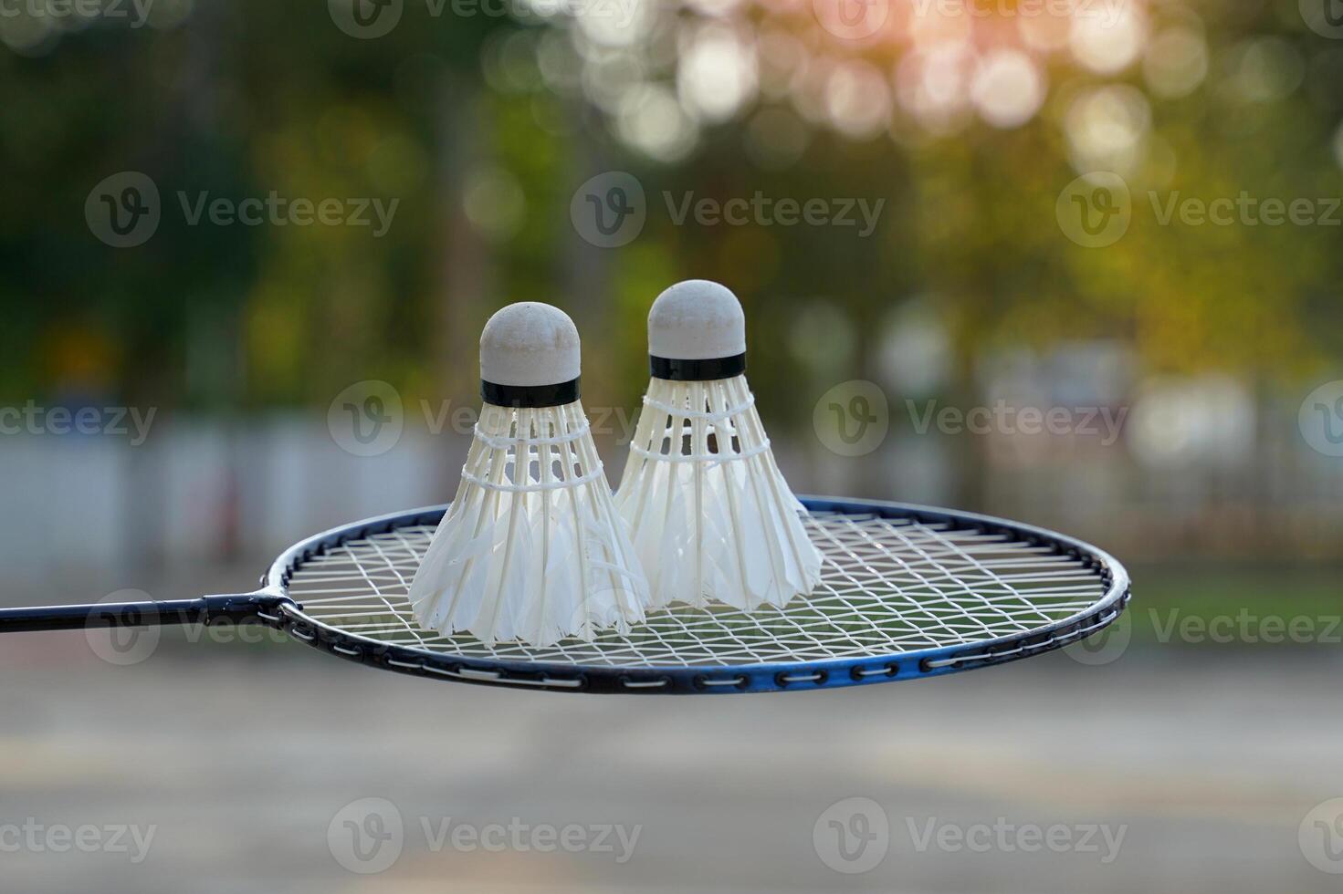 White shuttlecock 2 Placed side by side on a badminton racket, the background is green of trees and cement floor.soft and selective focus photo