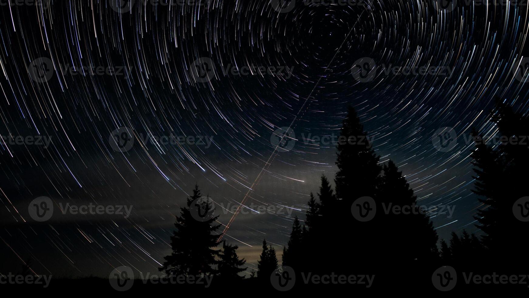 Star trails in the night sky. Stars move around a polar star. Silhouettes of trees photo