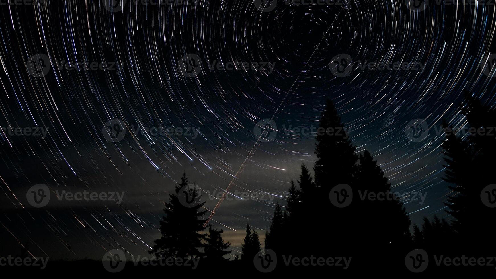 Star trails in the night sky. Stars move around a polar star. Silhouettes of trees photo