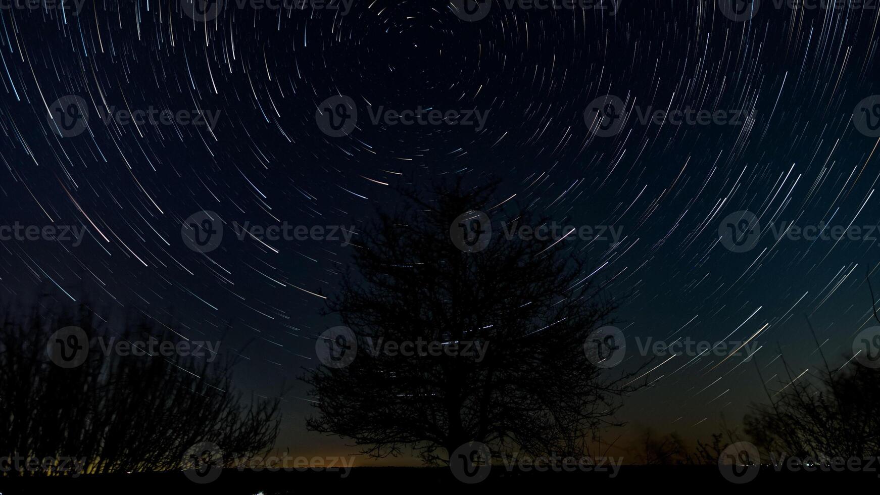 Star trails in the night sky above the silhouette of a tree. Stars move around a polar star photo