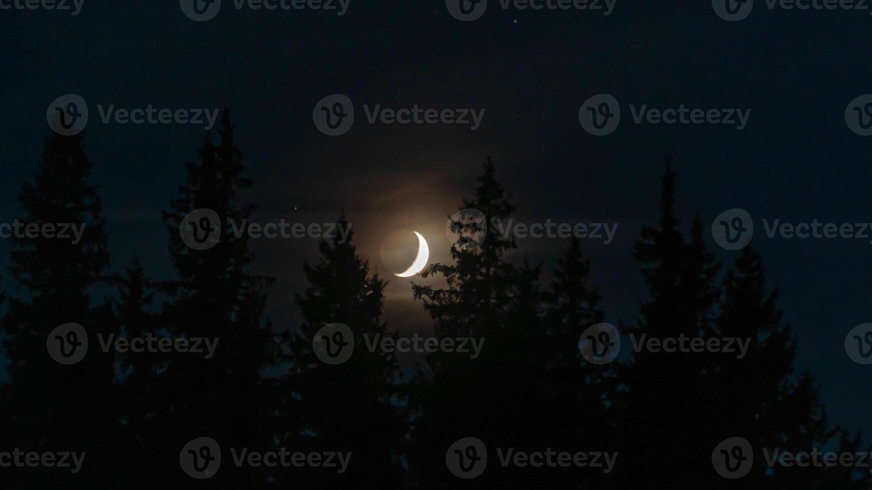 Luna en noche cielo, siluetas de arboles foto