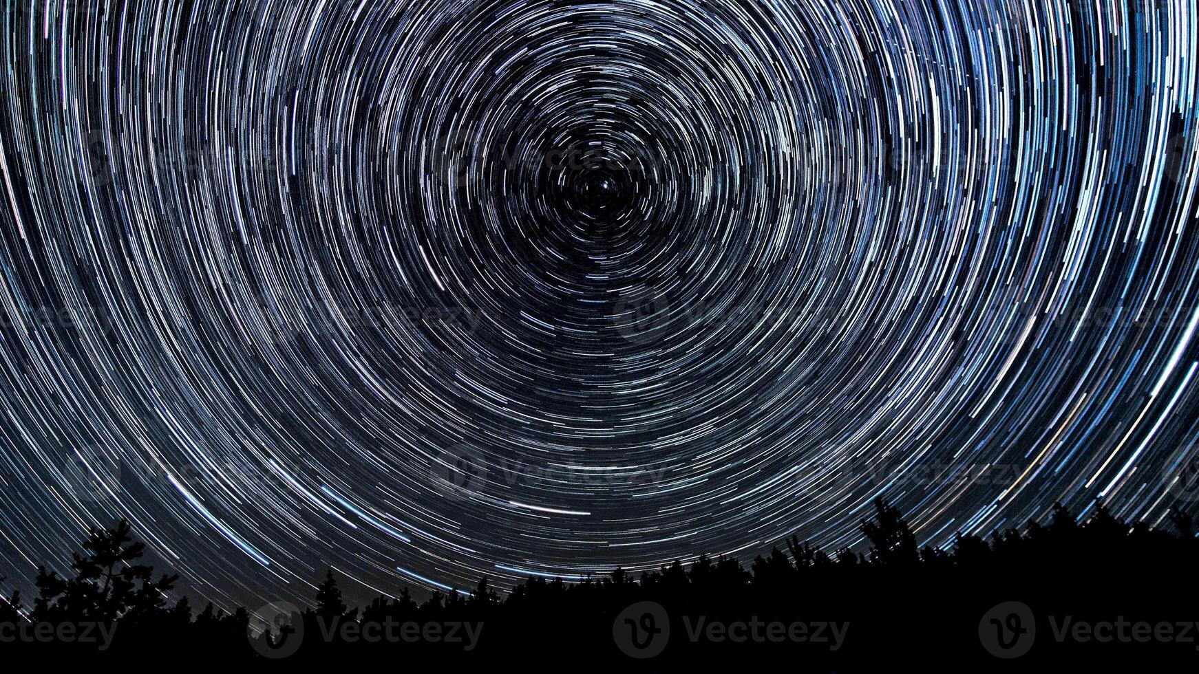 Star trails in the night sky. Stars move around a polar star. Silhouettes of trees photo