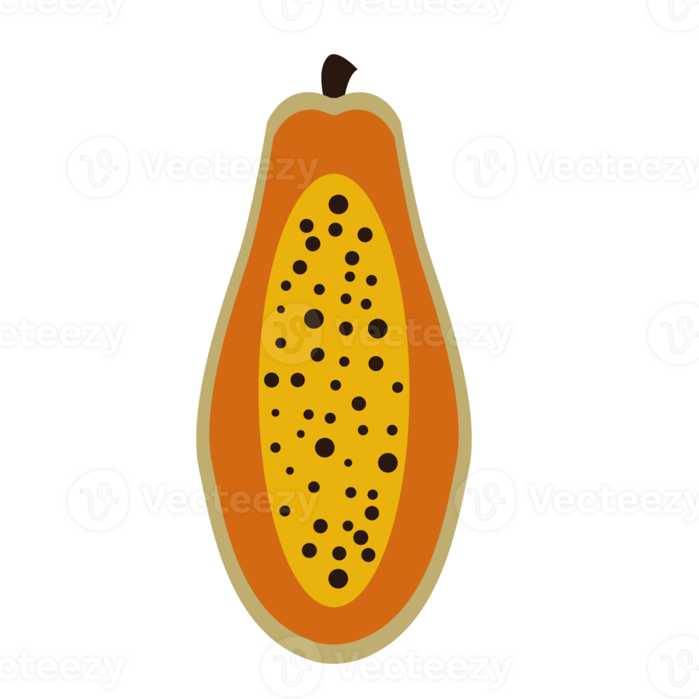 Flat icon papaya isolated. Fruit icon. png