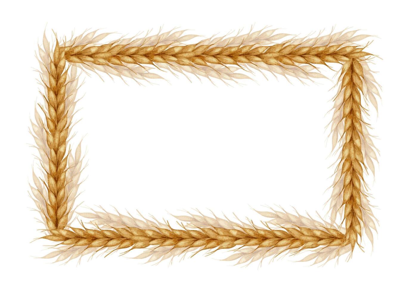 Ears of wheat. Bakery farm food concept. Watercolor frame of Cereal ears. Template for bakeries, bakehouses confectioner. Bakery. For design of labels and packaging of goods, cards, shops vector