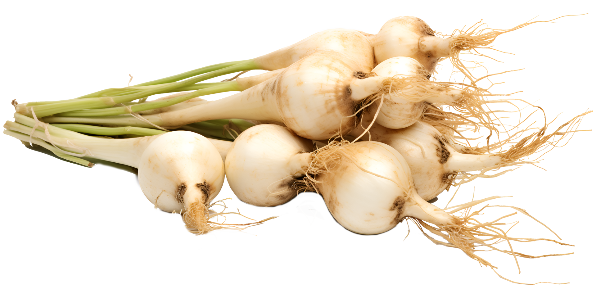 AI generated Fresh Green Onions on Transparent Background png