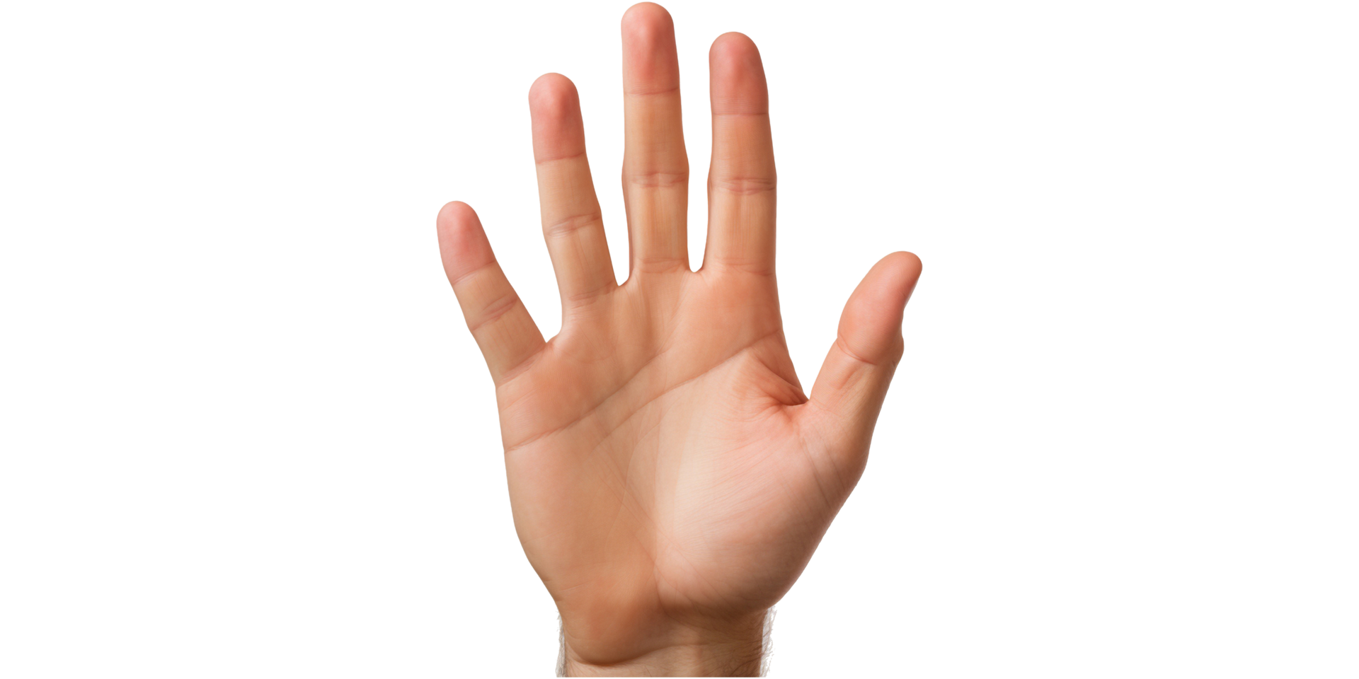AI generated Transparent Background Man Hand png