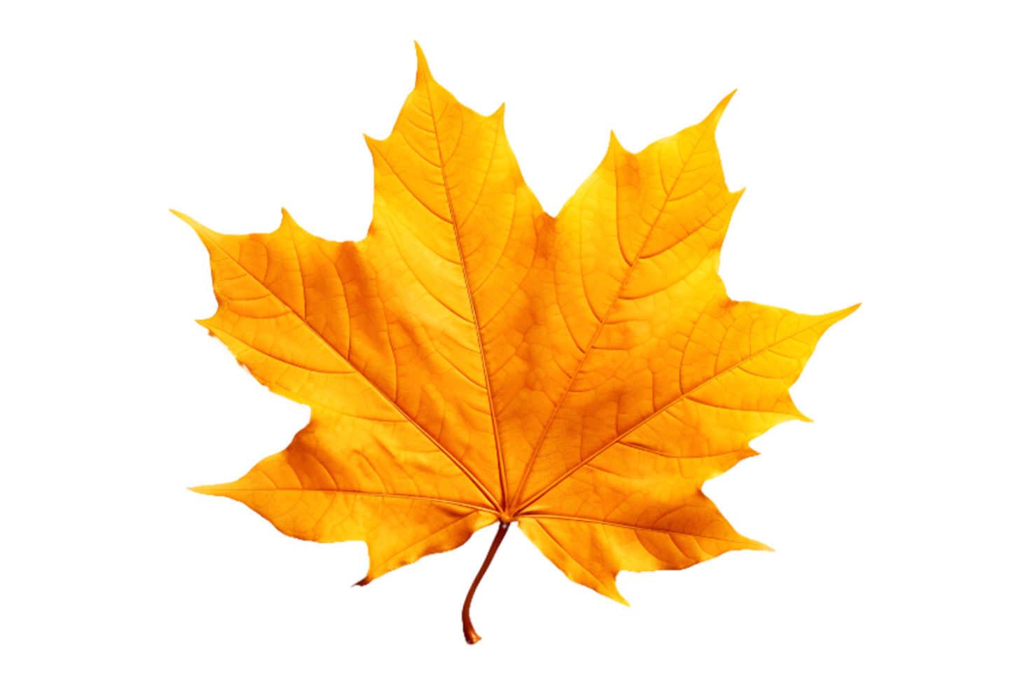 AI generated Autumn maple leaf on transparent background png