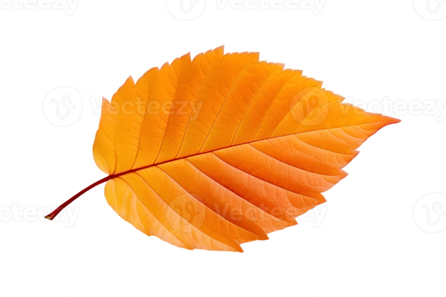 ai généré vibrant Orange l'automne feuille sur transparent Contexte png