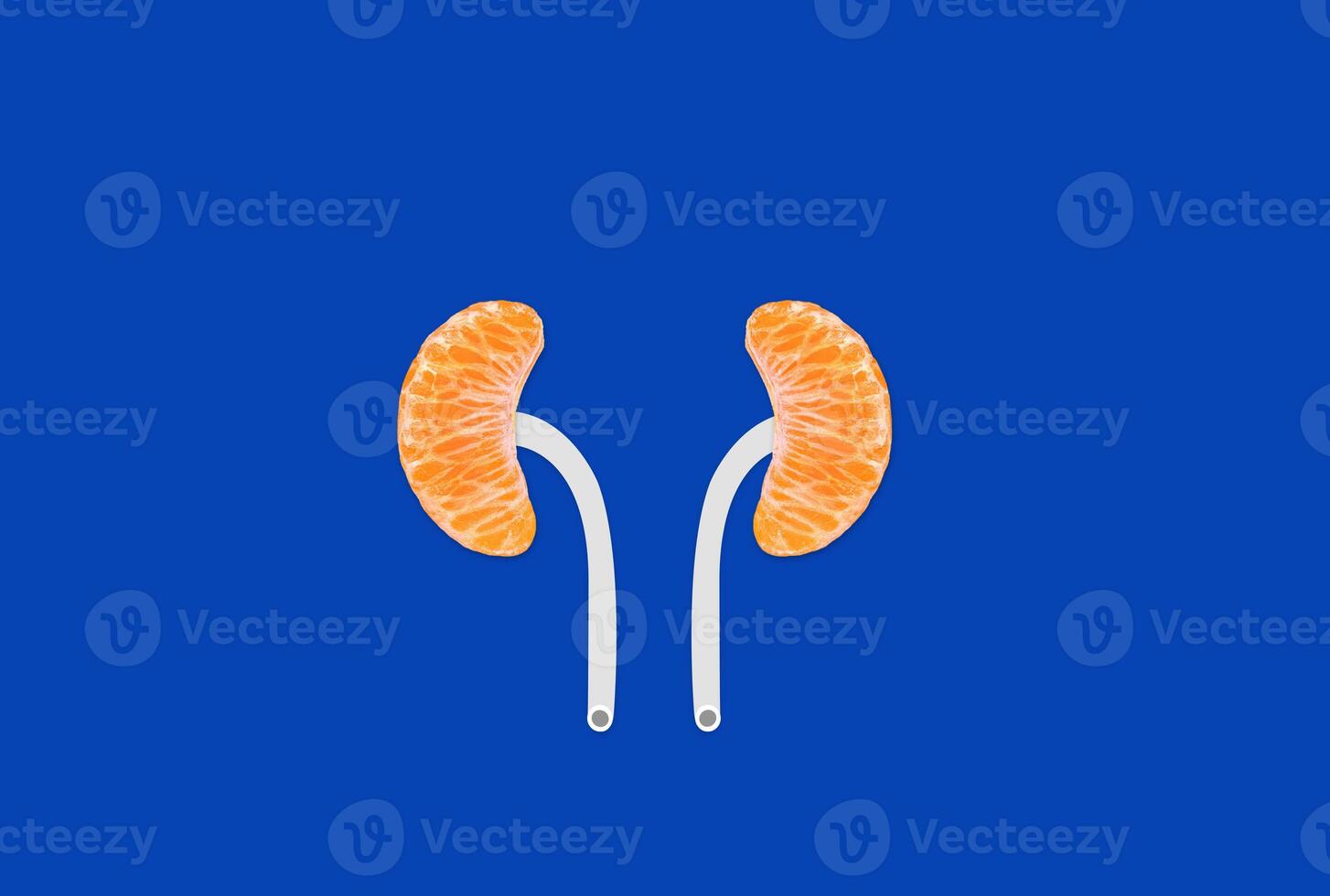 Kidney shape with orange with isolated  Colour background. World Kidney Day is observed annually on the 2nd Thursday in March photo