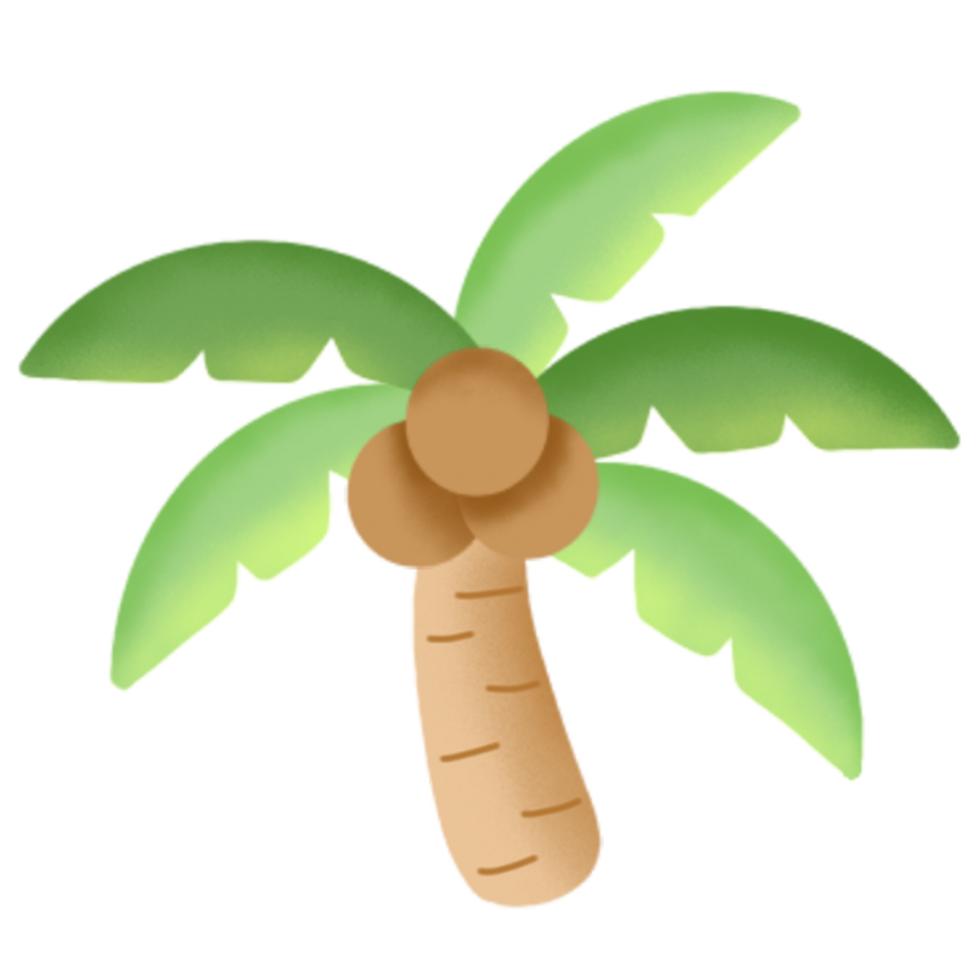 carino Noce di cocco albero png